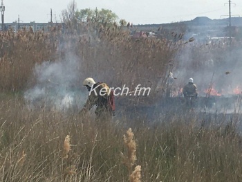 В районе Буденного в Керчи горели камыши