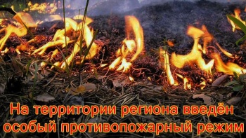 Особый противопожарный режим ввели в Крыму с сегодняшнего дня