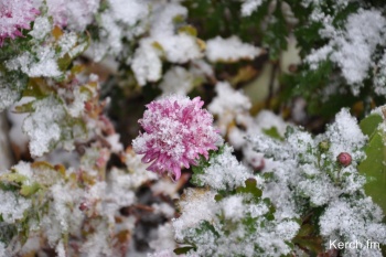 Почти 4 тыс га садов пострадали от заморозков в Крыму