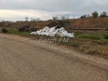 Неизвестные вдоль дороги вывалили кучи мусора в Керчи