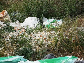 В Керчи на обрыве у моря устроили свалку