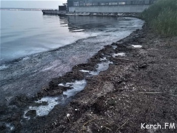 Зона отдыха «Черепашка» в Керчи: некомфортная городская среда