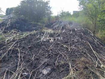 Новости » Общество: В Керчи горела трава около речки Мелек-Чесме