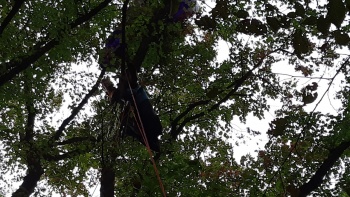 Парапланерист в Крыму застрял на дереве в 10 метрах от земли