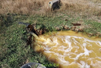 Свалки мусора, ракушек и слив грязной воды обнаружили у водоема Керчи (видео)