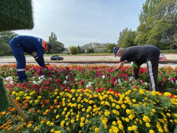 В Керчи приступили к работам по содержанию городских цветников