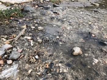 В Керчи течет река канализации вдоль частных домов