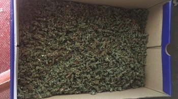 Пограничники изъяли коробку с наркотиками у крымчанина