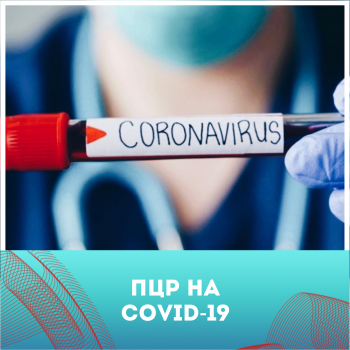 Анализ ПЦР на коронавирус COVID-19 в Керчи