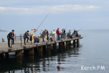 Керчанам рассказали об ограничениях осенне-зимней рыбалки в Крыму