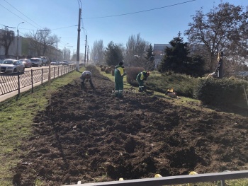 В Сквере Воссоединения начали выкапывать розовую аллею