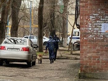 Новости » Криминал и ЧП: Полицейские с собаками работали у вскрытой машины в Керчи