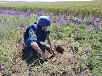 Новости » Общество: В Ленинском районе нашли и уничтожили 12 авиабомб