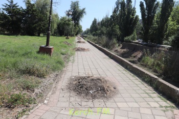 Новости » Общество: Мусор в сквере напротив горбольницы в Керчи  стал вонять