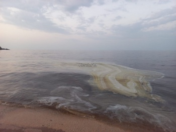 Нефтепродукты дошли до пляжа в районе Курортного