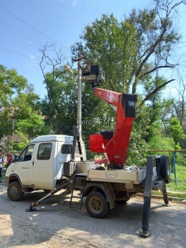 Упавшее дерево оставило без света 5 домов в Керчи