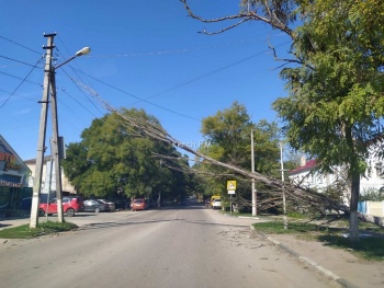 В Керчи на Мирошника над дорогой на проводах повисло дерево