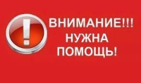 Блог редакции: Керчанин просит найти домашнего питомца, который сбежал из ветеринарной клиники.