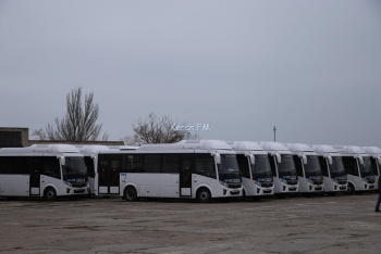 Новости » Общество: В Крыму хотят обеспечить волонтеров льготным проездом на время пандемии