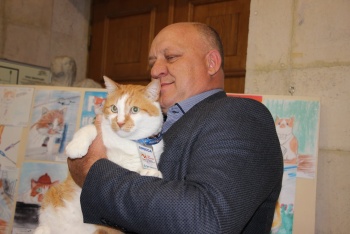 В Керчи открылась выставка «Приключения кота Мостика»