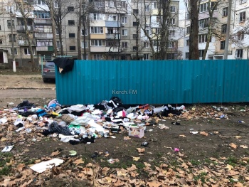 У мусорных контейнеров по Орджоникидзе образовалась еще одна свалка