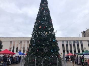 У ДК «Корабел» в Керчи установили новогоднюю елку