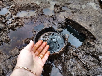Керчане в нефти не утонут: природный источник сырой нефти в Глазовке слишком мал