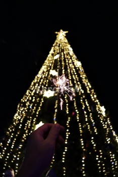 Керчане отметили надежность «деда Мороза и Снегурочки» под новогодней елкой в центре