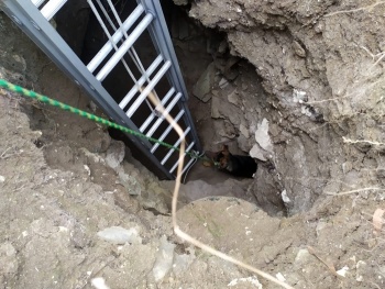 Из провала Аджимушкайских каменоломен спасатели достали собаку