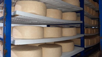 Производство сыра увеличилось в Крыму на 17 %