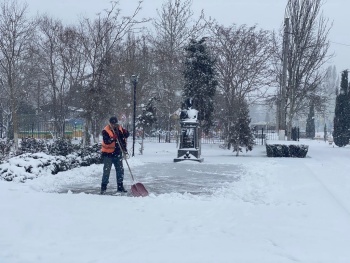 Солодилова предложила депутатам купить по две лопаты для расчистки города от снега