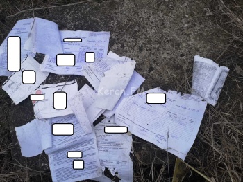 На Индустриальном шоссе в Керчи вдоль дороги выбросили документы соцзащиты