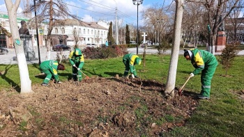 Новости » Общество: Озеленители приводят в порядок кусты роз в керченских скверах