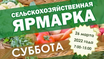 Новости » Общество: В субботу в Керчи вновь пройдет сельхозярмарка