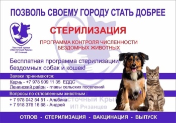 С 14 марта действует программа отлова, стерилизации, вакцинации и выпуска бездомных животных в Керчи