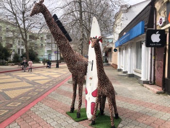 На центральной улице Керчи появились два жирафа