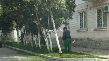 Покос  травы дошел до улиц Фурманова, Айвазовского и Чкалова