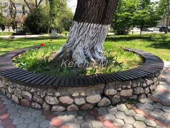 Новости » Общество: Керчане просили привести в порядок лавочку под зданием горсовета, но это сделали без напоминаний