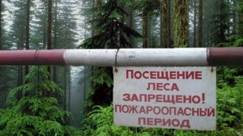 Ограничения на посещение лесов продлили  на 21 день в Крыму