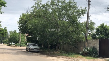 Новости » Общество: Водители напоминают: не вся улица по Льва Толстого является «Главной дорогой»