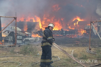 Человеческий фактор: в Крыму назвали основную причину пожаров