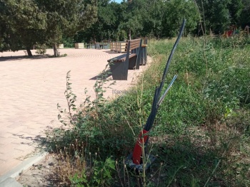 Парк на Островского в Керчи не радует жителей – торчат провода, заросли клумбы