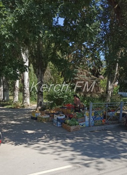 Новости » Общество: Керчане пожаловалось на очередных стихийщиков в районе Аршинцево