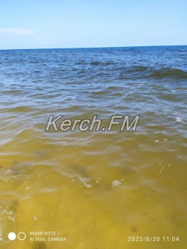 Роспотребнадзор закрыл один пляж в Керчи и два в Ленинском районе
