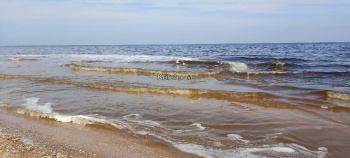 Болото, а не море – керчане массово жалуются на состояние воды