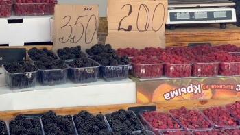 Обзор цен на овощи и фрукты на рынке около СРЗ на 8 сентября