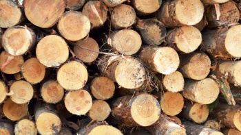 В Крыму снижают цены на дрова