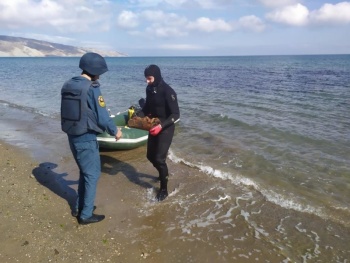 Новости » Общество: Ручную гранату времен ВОВ нашли в Керчи