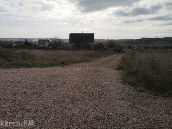 Новости » Общество: Навозные мухи и глаз режет вонь: в Керчи дорогу умастили битым рапаном