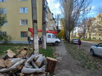 Больше всего деревьев при непогоде в Керчи упало в Аршинцево